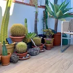 ático Con Terraza, Vistas Panorámicas Y Parking