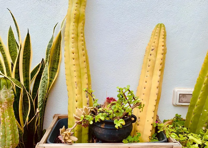 ático Con Terraza, Vistas Panorámicas Y Parking Appartamento Santa Cruz de Tenerife