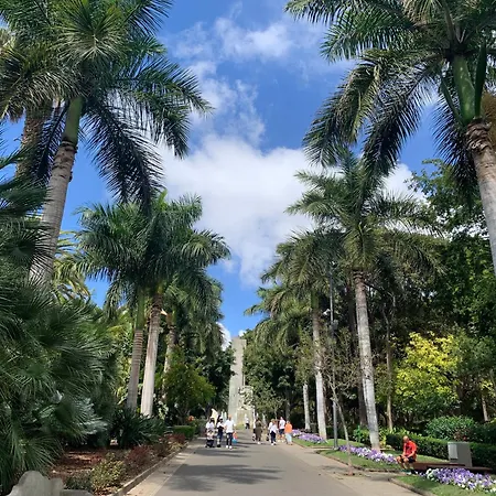 Atico Con Terraza, Vistas Panoramicas Y Parking Santa Cruz de Tenerife