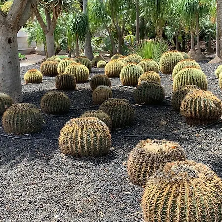 Atico Con Terraza, Vistas Panoramicas Y Parking Lägenhet Santa Cruz de Tenerife