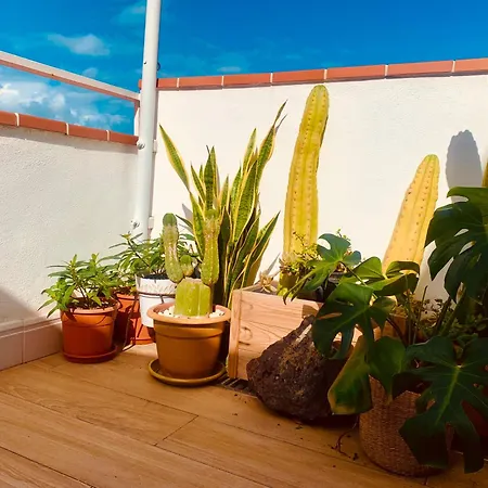 Apartment Atico Con Terraza, Vistas Panoramicas Y Parking Santa Cruz de Tenerife