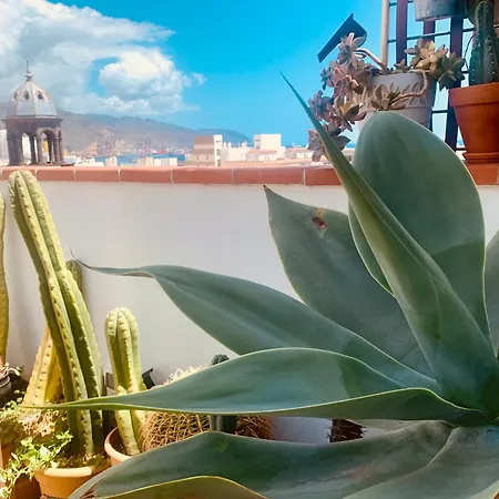 아파트 Atico Con Terraza, Vistas Panoramicas Y Parking